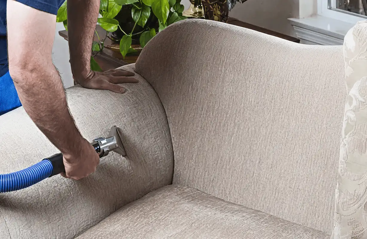 Professional upholstery cleaner deep-cleaning a fabric sofa with a handheld extraction tool and hose, Cambridge, MA.